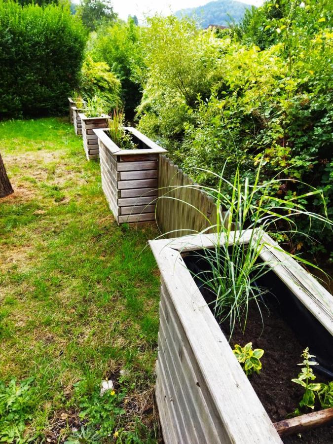 Haus Elsenbruch Leilighet Bad Herrenalb Eksteriør bilde